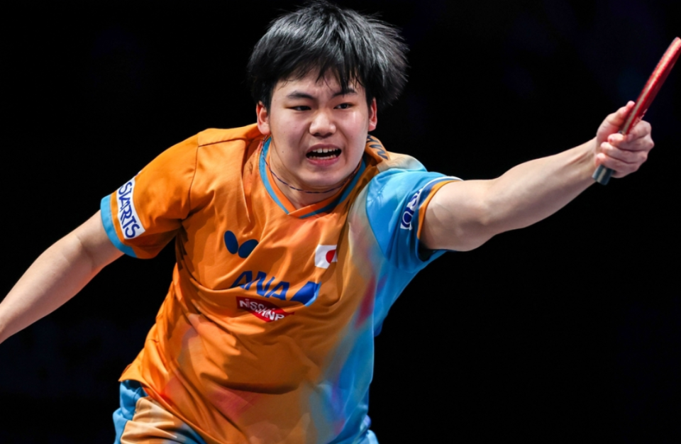 岁的松岛辉 岁的松岛辉